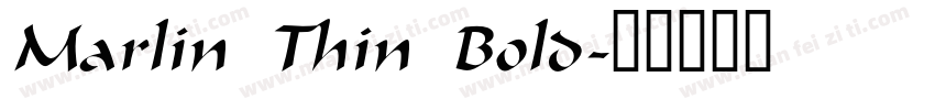 Marlin Thin Bold字体转换